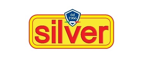 Logo Silver Logo Silver
